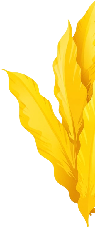 Vadakkanadanspices